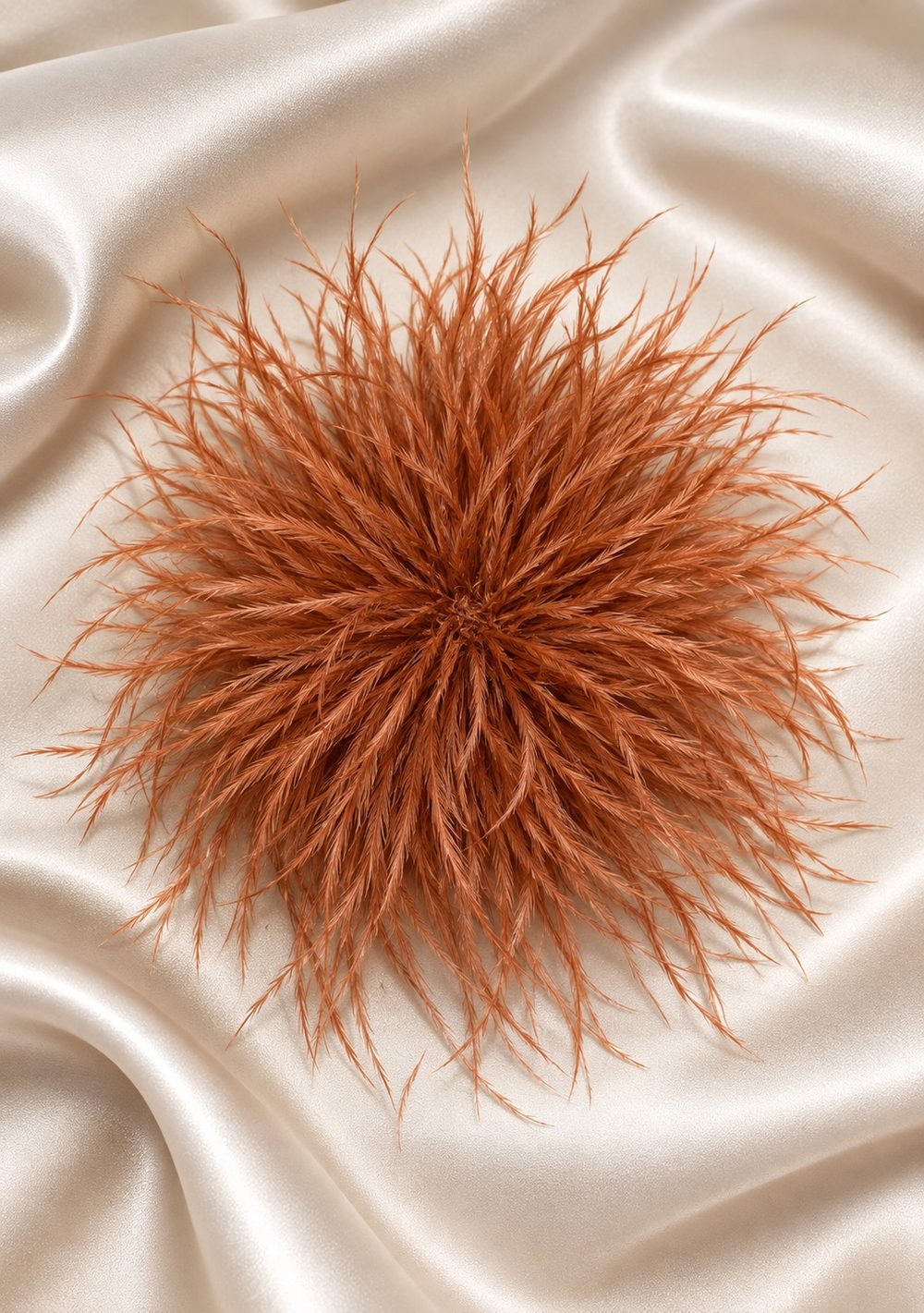 Spilla con Piume