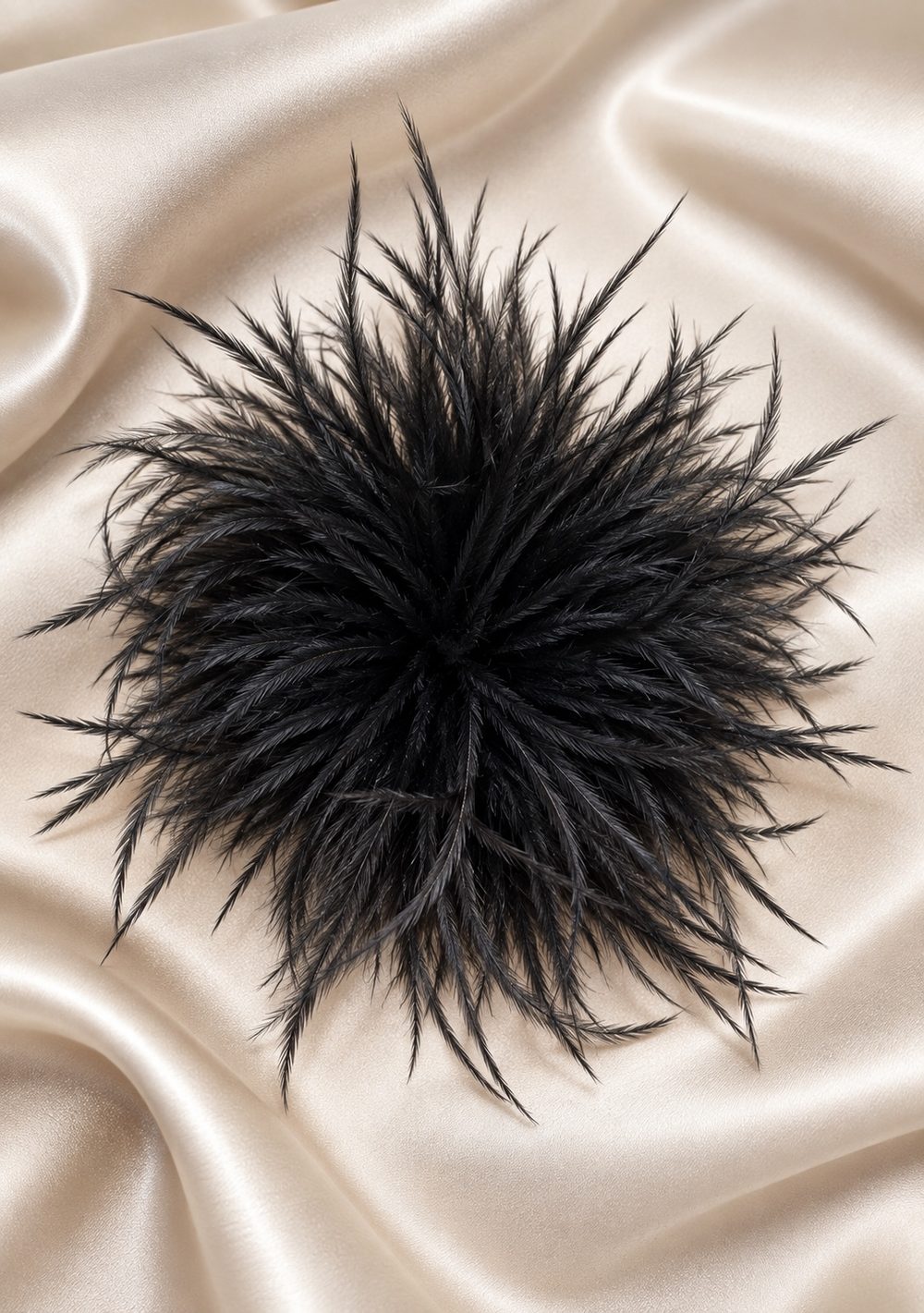 Spilla con piume in colore nero