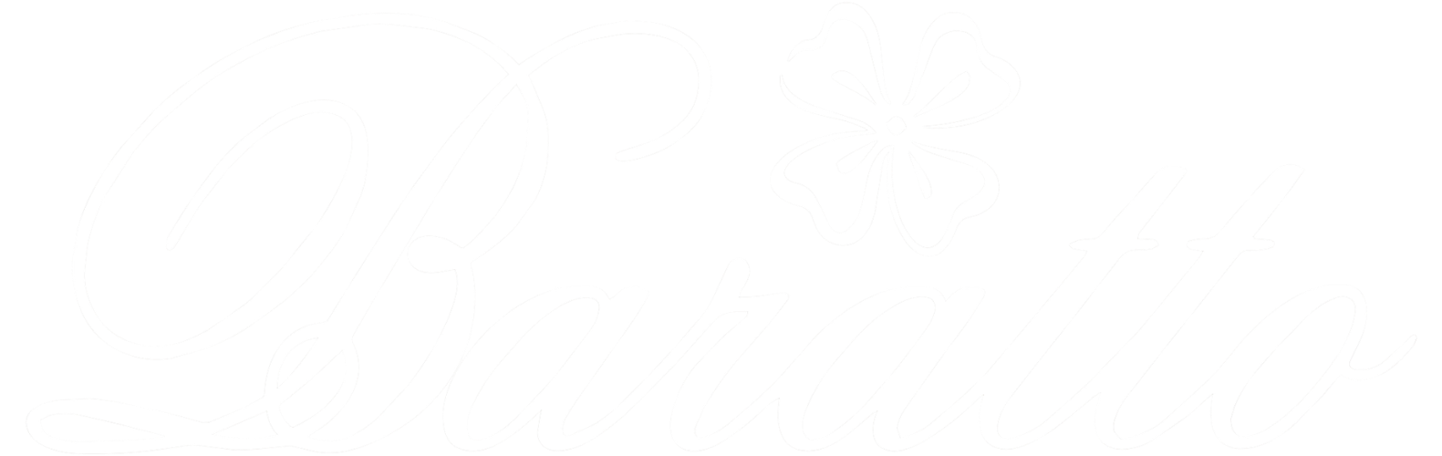 Baratto Logo Footer