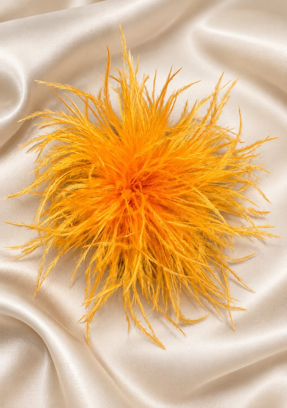 Spilla con Piume
